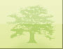 Positive parenting blog