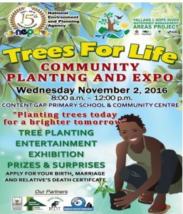 Trees for Life Community Event