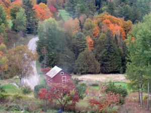 A view from our window in Vermont. It is a beautiful, peaceful state. (My photo)
